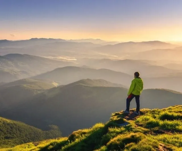 m m seguros unit linked